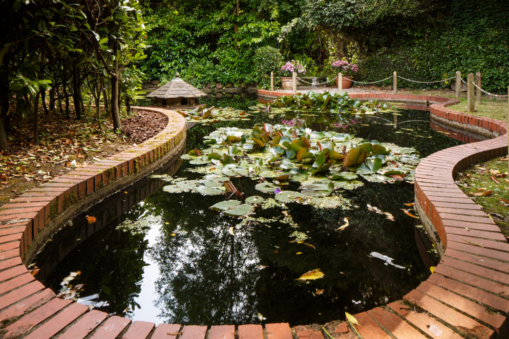 Duck pond with lily pads in the gardens at Mercure Tunbridge Wells Hotel. Mercure Tunbridge Wells Hotel Tunbridge Wells 01892 628298