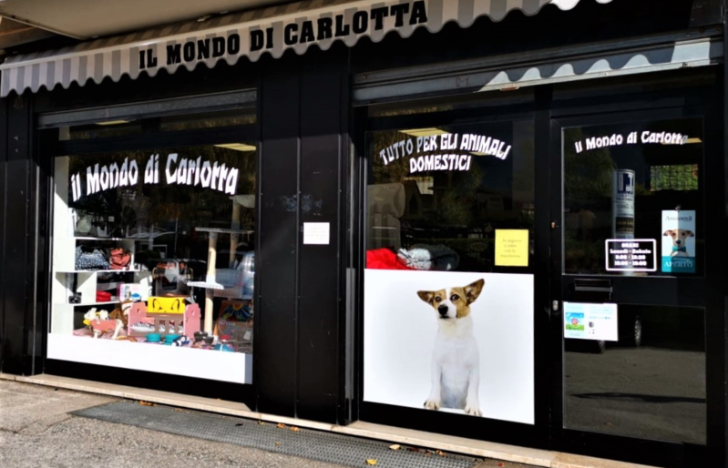 Images Il Mondo di Carlotta Pet Shop Tutto per Gli Animali