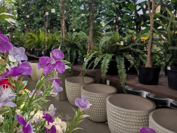 Images Aldik Home