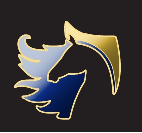 company logo