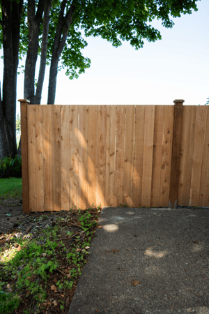 Images Rare Bears Fencing