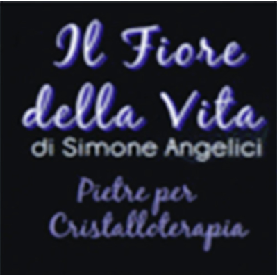 Il Fiore della Vita di Angelici Simone Logo