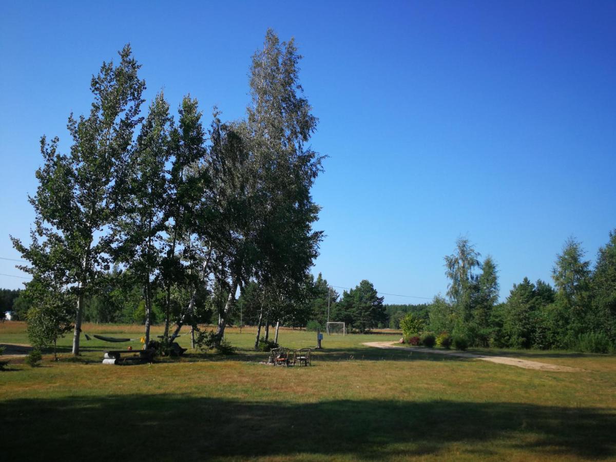 Brīvdienu māja 'Palmas' Jūrkalnē ar mājīgu koka fasādi, zaļu pagalmu un skatu uz dabu, tikai 15 minūšu gājienā no Baltijas jūras.