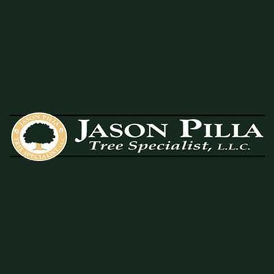 Jason Pilla Tree Specialist LLC - Egg Harbor City, NJ 08215 - (609)965-8003 | ShowMeLocal.com