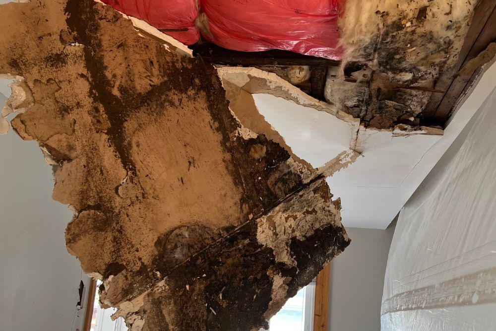 Pictured here is Minneapolis water damage that resulted in mold growth behind the walls.