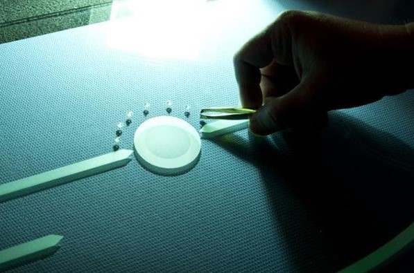 Bild 5 von in vitro veritas GmbH GLAS-TSCHEBULL.AT