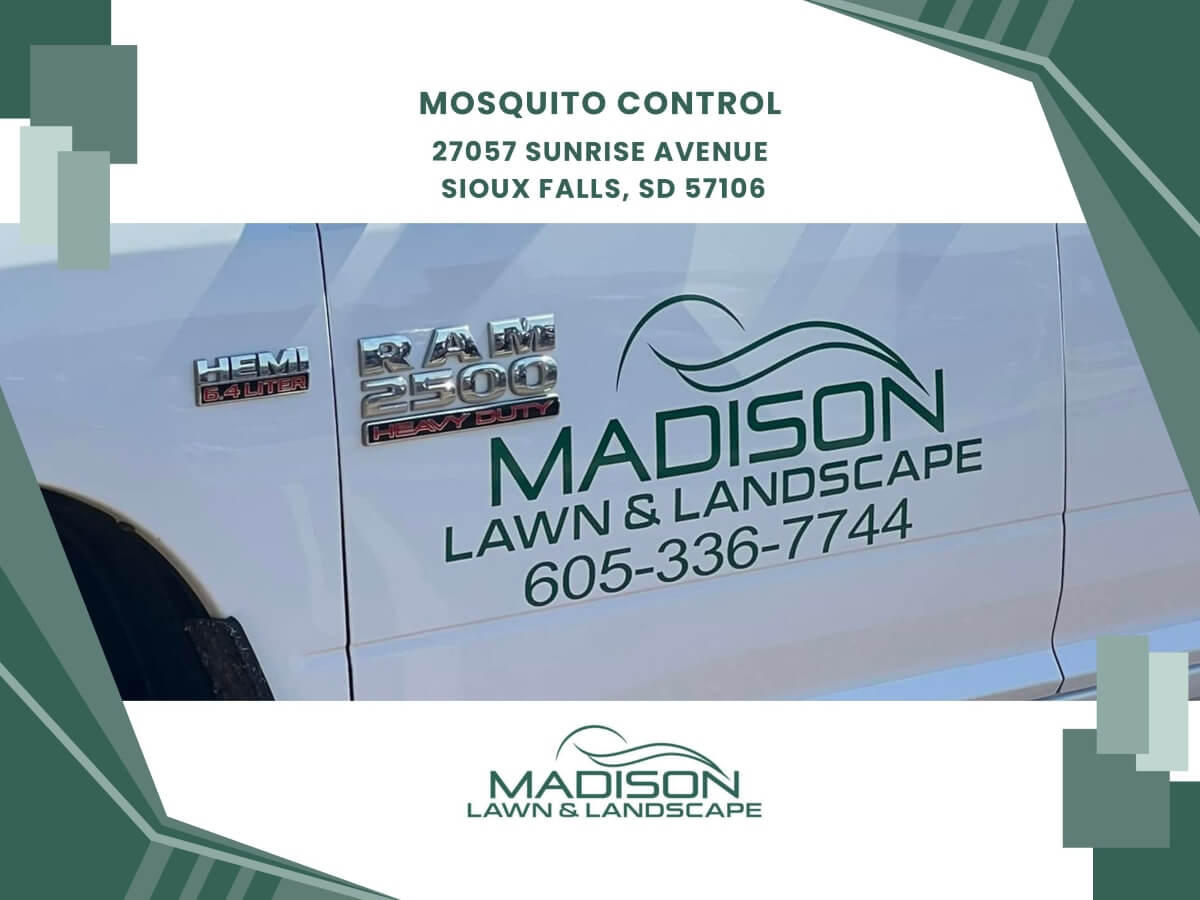 mosquito control