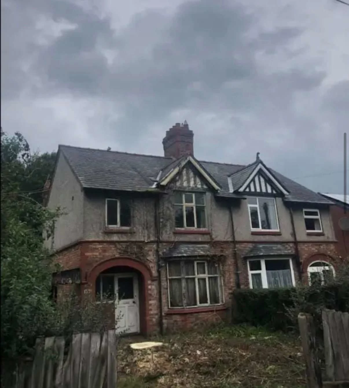 Images Tree Doctors & Landscaping