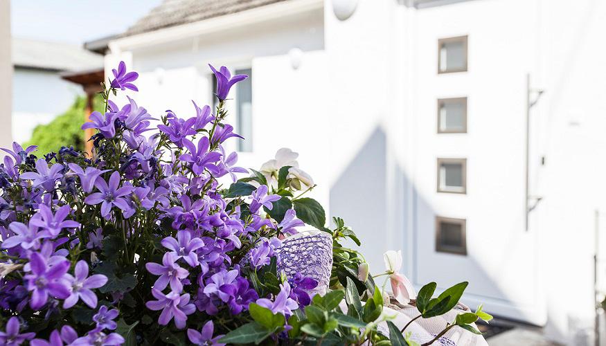 Wein & Feriendomizil Zehentner, Quergasse 8 in Illmitz