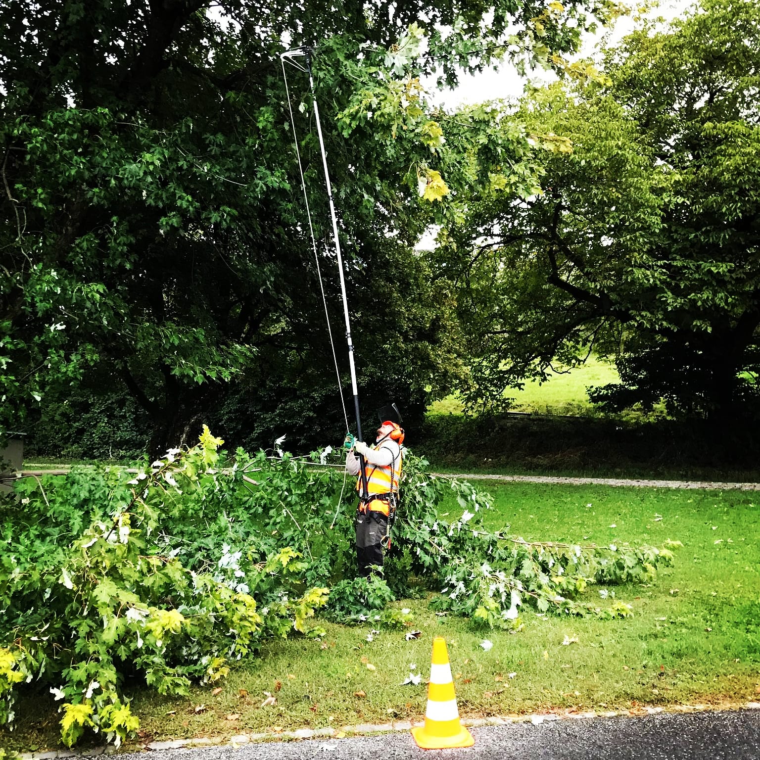 Walder's Hauswartung & Gartenunterhalt AG, Berglistrasse 7 in Wetzikon ZH