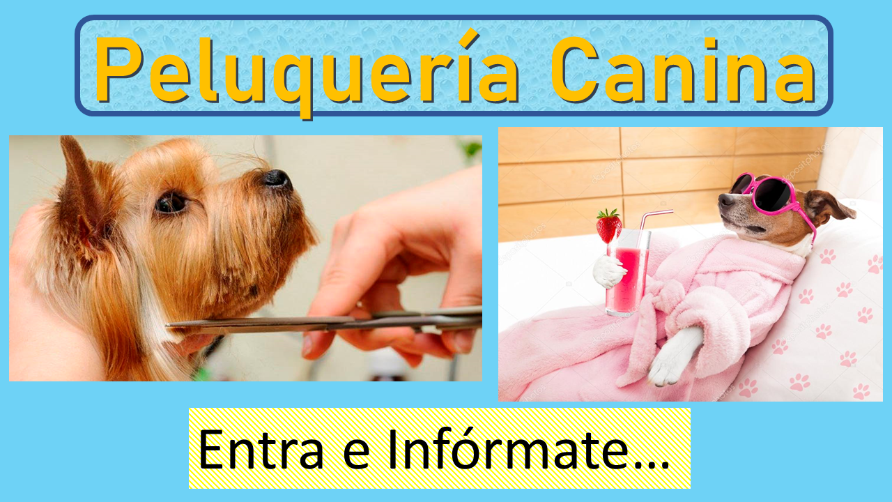 Images Clínica Veterinaria Kirovet Shalom S.L.