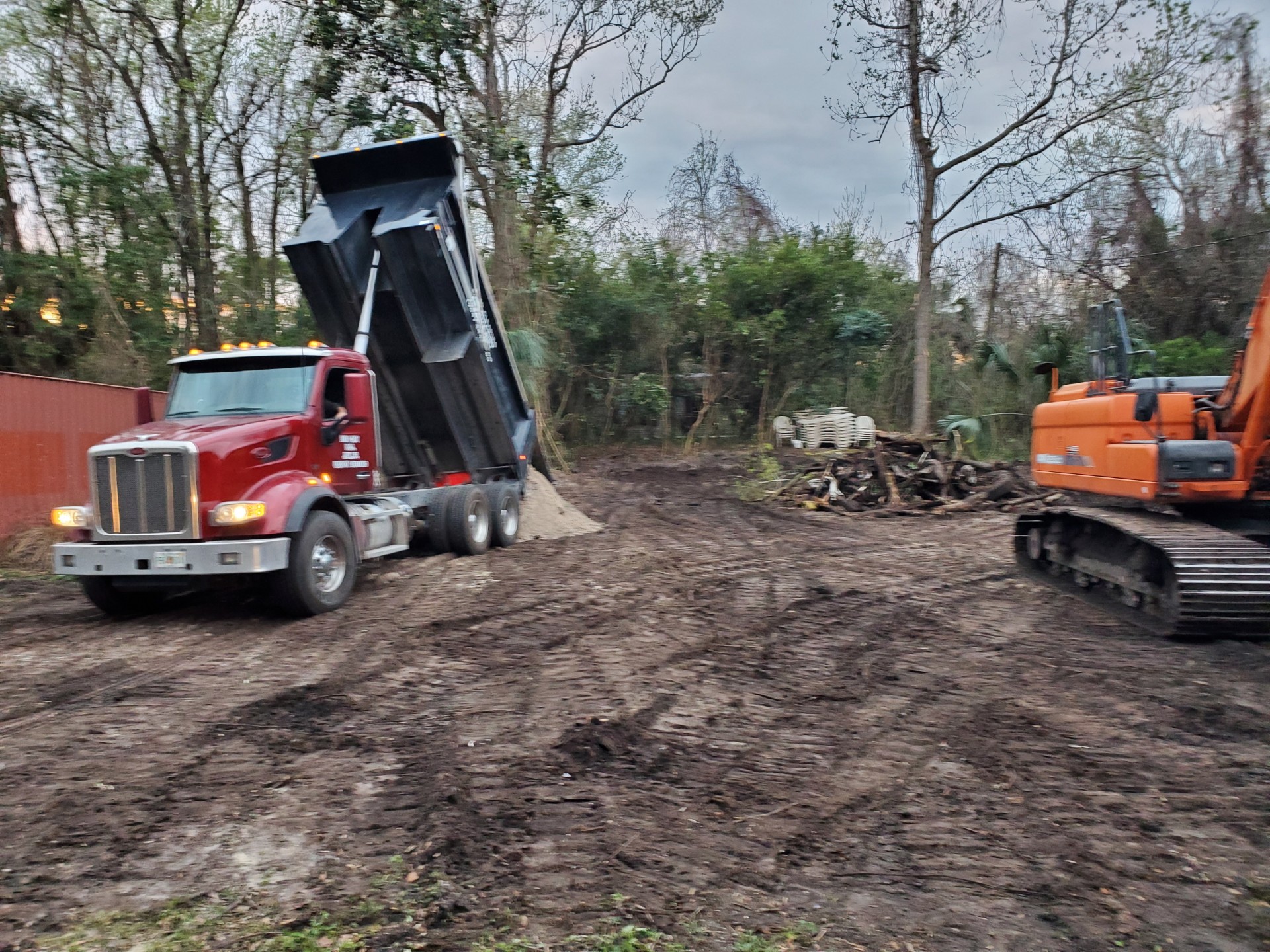 Big Cat Excavating Photo