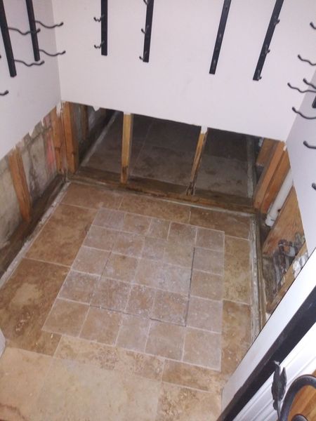 Images Simply Mold Gone