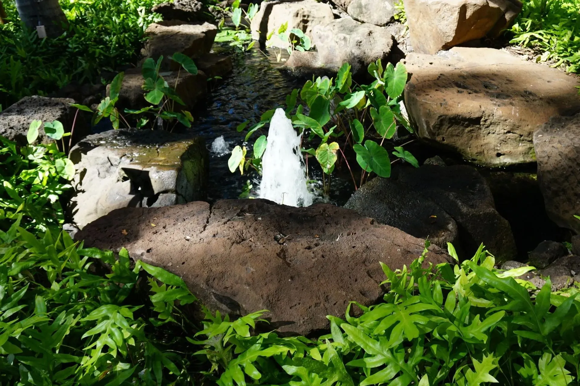 Landscape Hawaii, Inc. Image