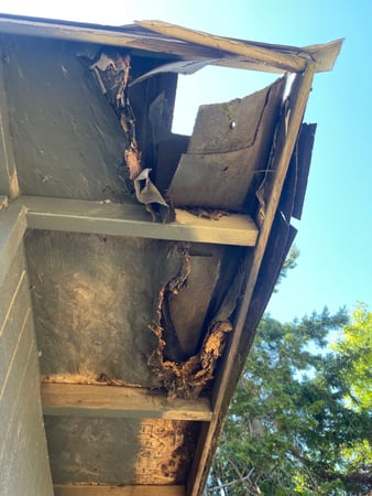Images Forever Roofing