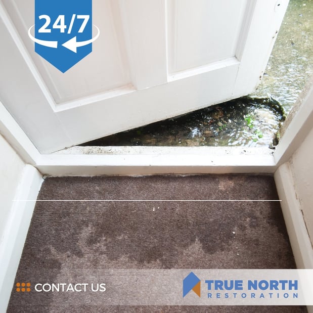 Images True North Restoration of Savannah