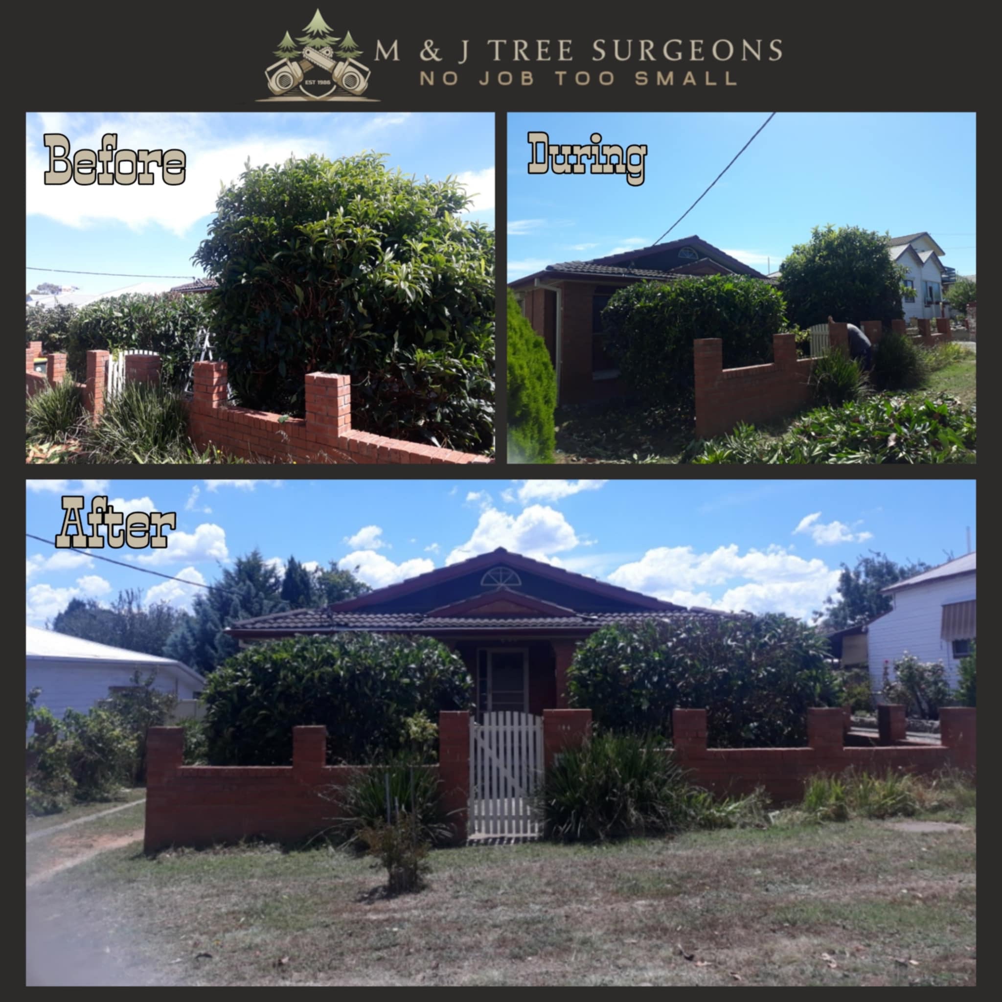 Images M & J Tree Surgeons