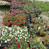 Images Harrison Farm and Feed