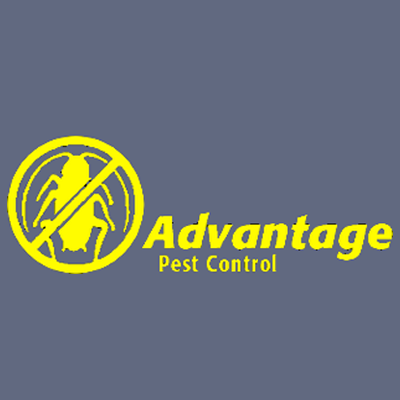 Advantage Pest Control