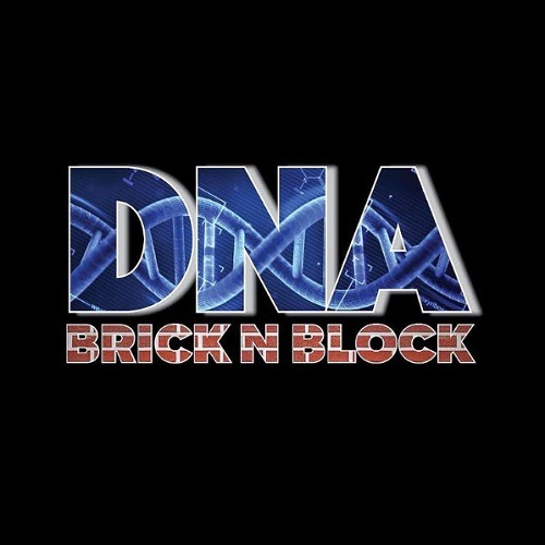 DNA Brick N Block Logo