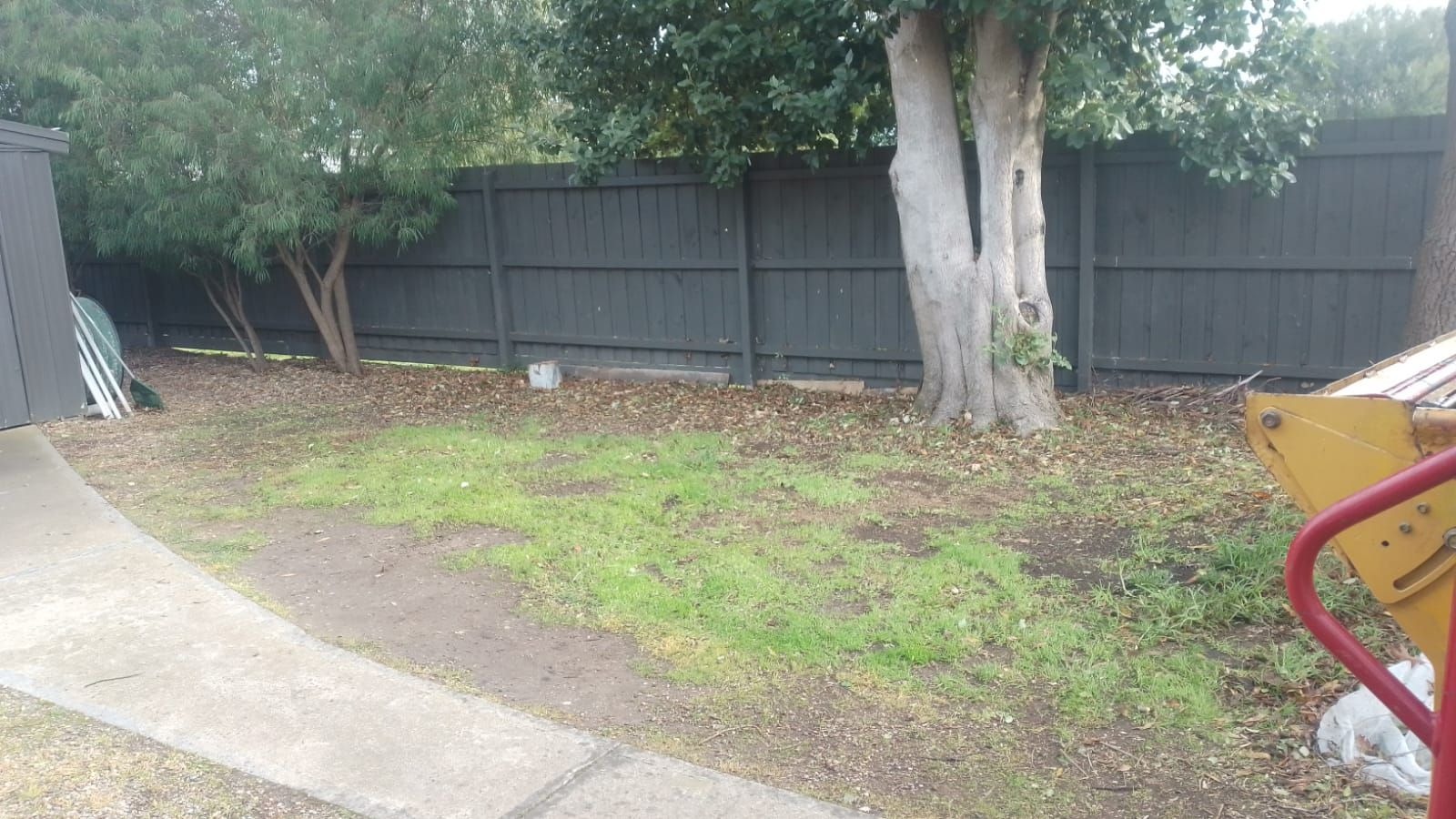 Images Mojo Tree And Stump Removal