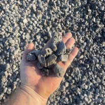 ML3 Land Service Image