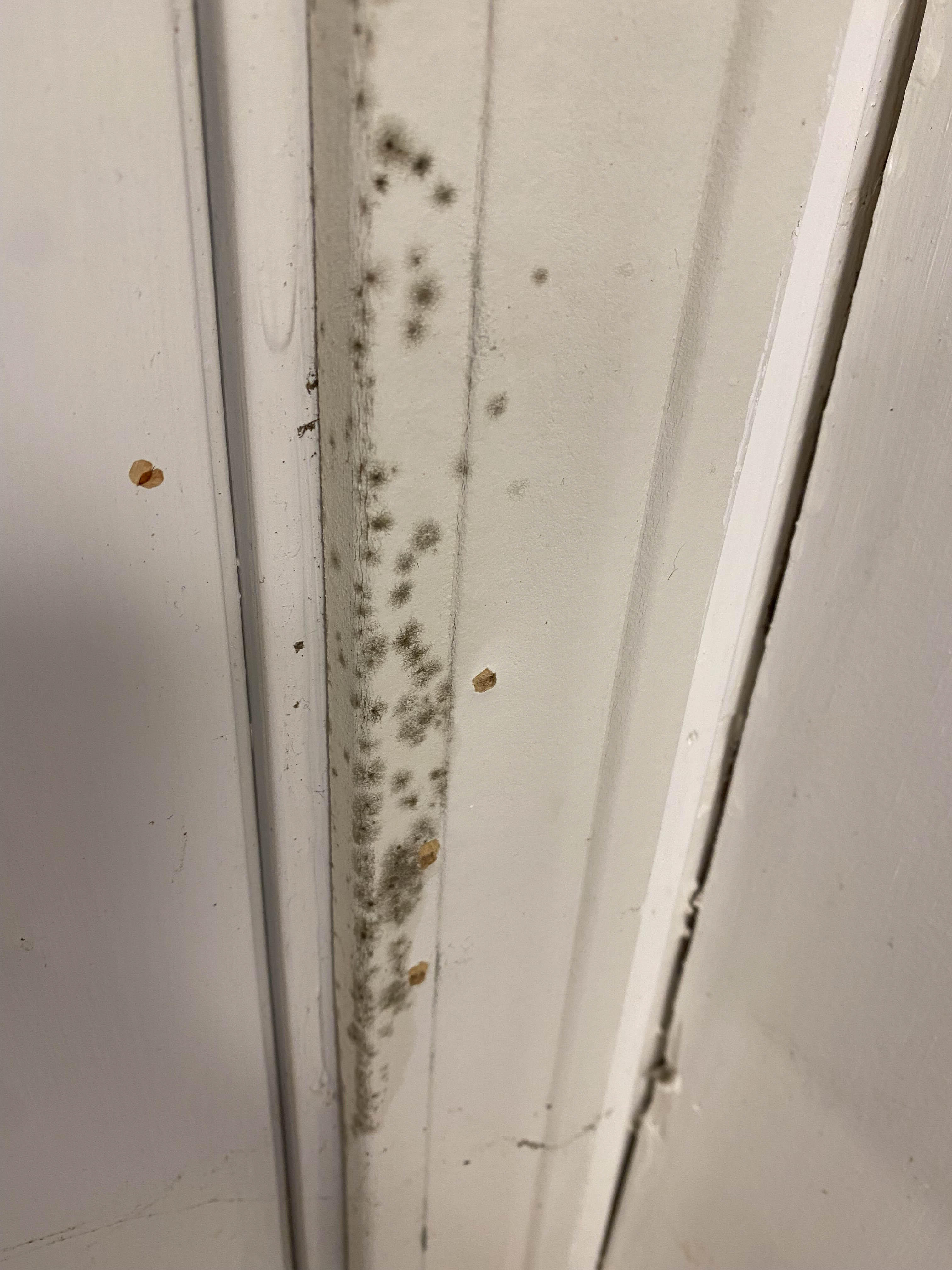 If there are unpleasant odors coming from your walls, floors, or drains, you might have a mold problem. You can depend on SERVPRO of Boston Downtown/Back Bay/South Boston / Dorchester to handle all of your mold removal needs. If you have any questions or would like to schedule service, please give us a call!