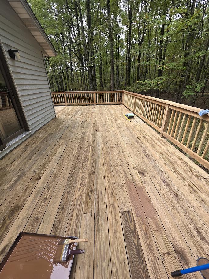 All Fresh Handyman & Cleaning Services Image