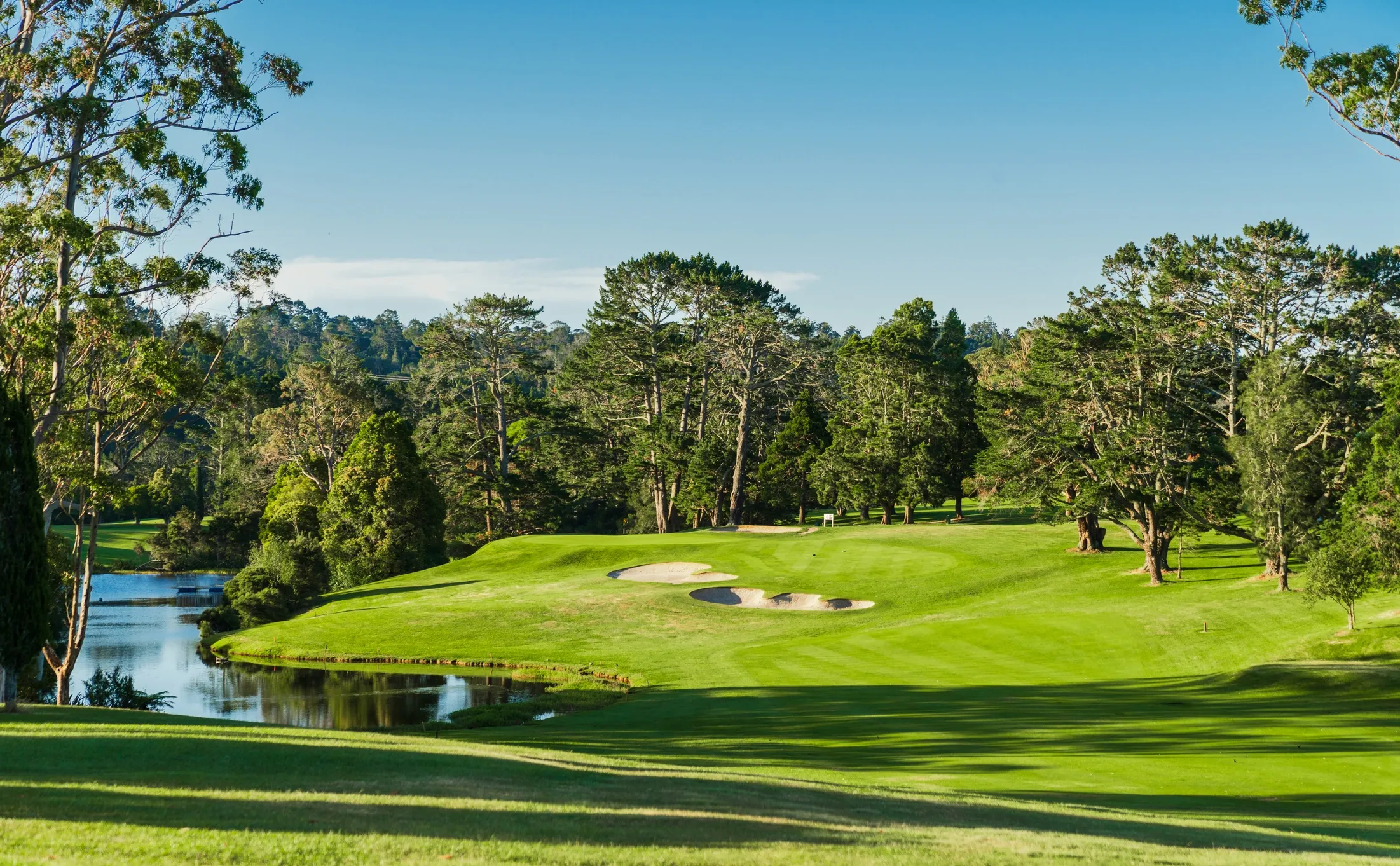 A scenic view of a lush green golf course on a clear day. The course features rolling fairways, strategically placed sand traps, and a tranquil lake reflecting the surrounding trees and blue sky. Tall, mature trees line the landscape, adding to the natural beauty and providing shade. The sunlight casts long shadows across the manicured grass, indicating it might be late afternoon.