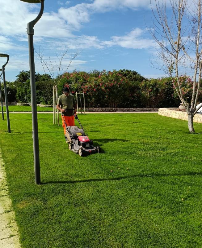 Images Il Punto Verde