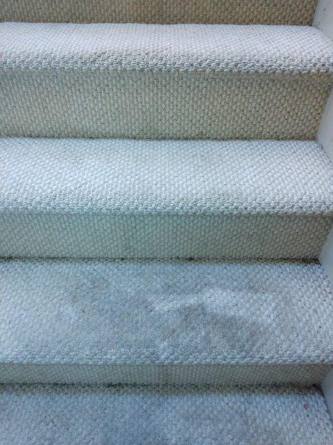 before/after carpet cleaning White River Chem-Dry Muncie (765)217-4337