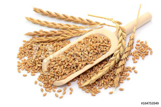 Deffland Backtechnik GmbH, Siegener Strasse 35 in Oberzeuzheim