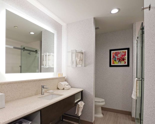 Images Hampton Inn & Suites Lubbock University