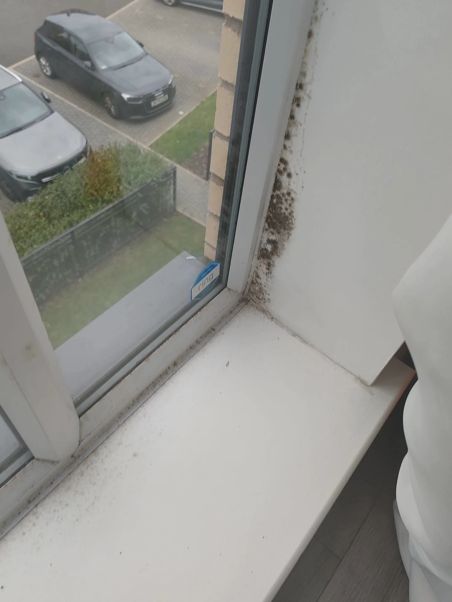 Images Mmiano Cleaning Service
