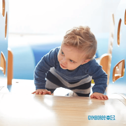 Watch your baby turn curiosity into confidence as they crawl, reach, and explore our colorful equipment. Baby play classes in Coral Gables help little ones build strength and coordination while you stay close to encourage every discovery.