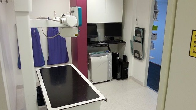 Images Fyra Ben Smådjursklinik