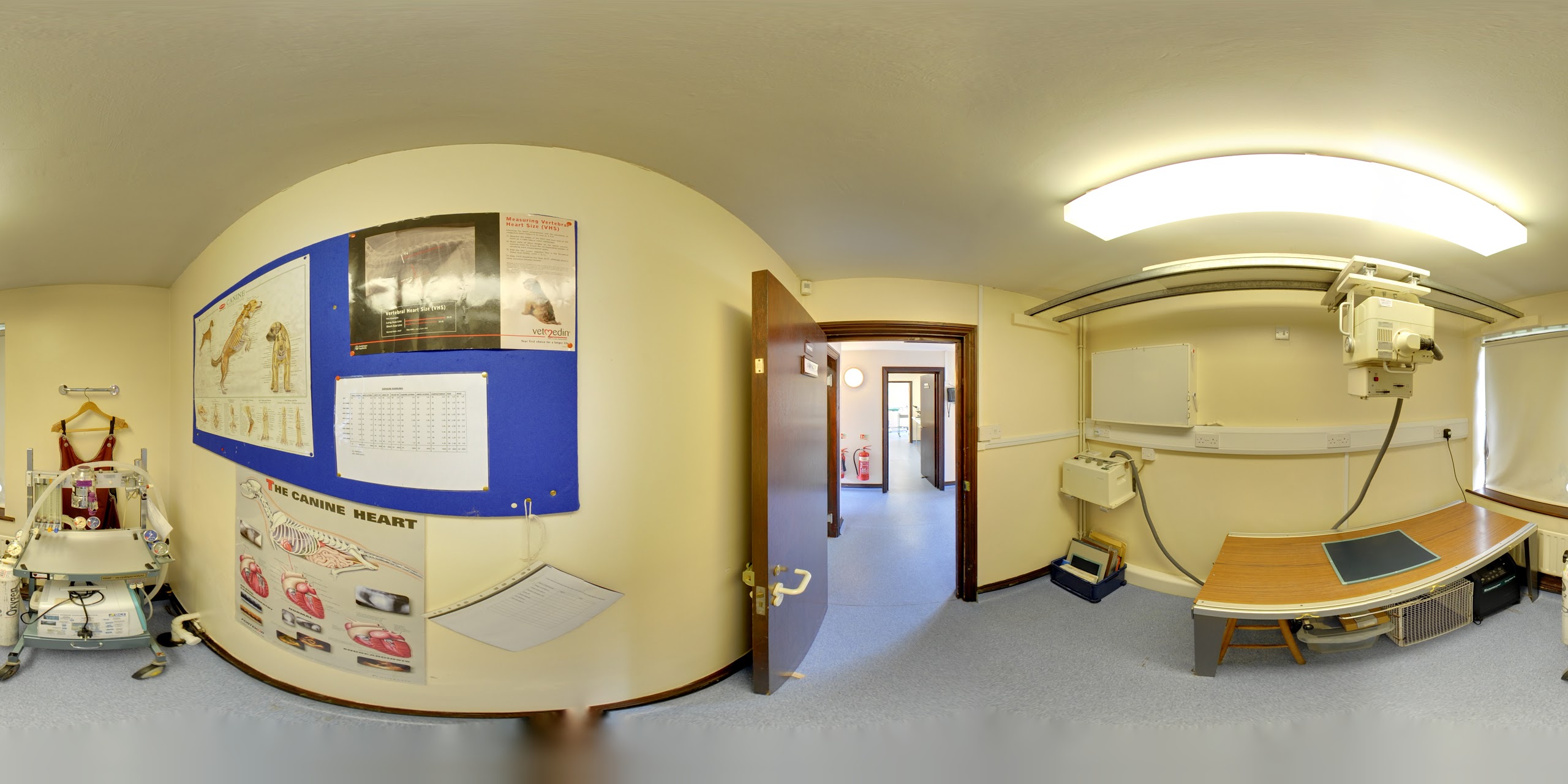 Images The Animal Clinic
