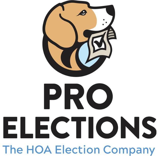 Images Pro Elections