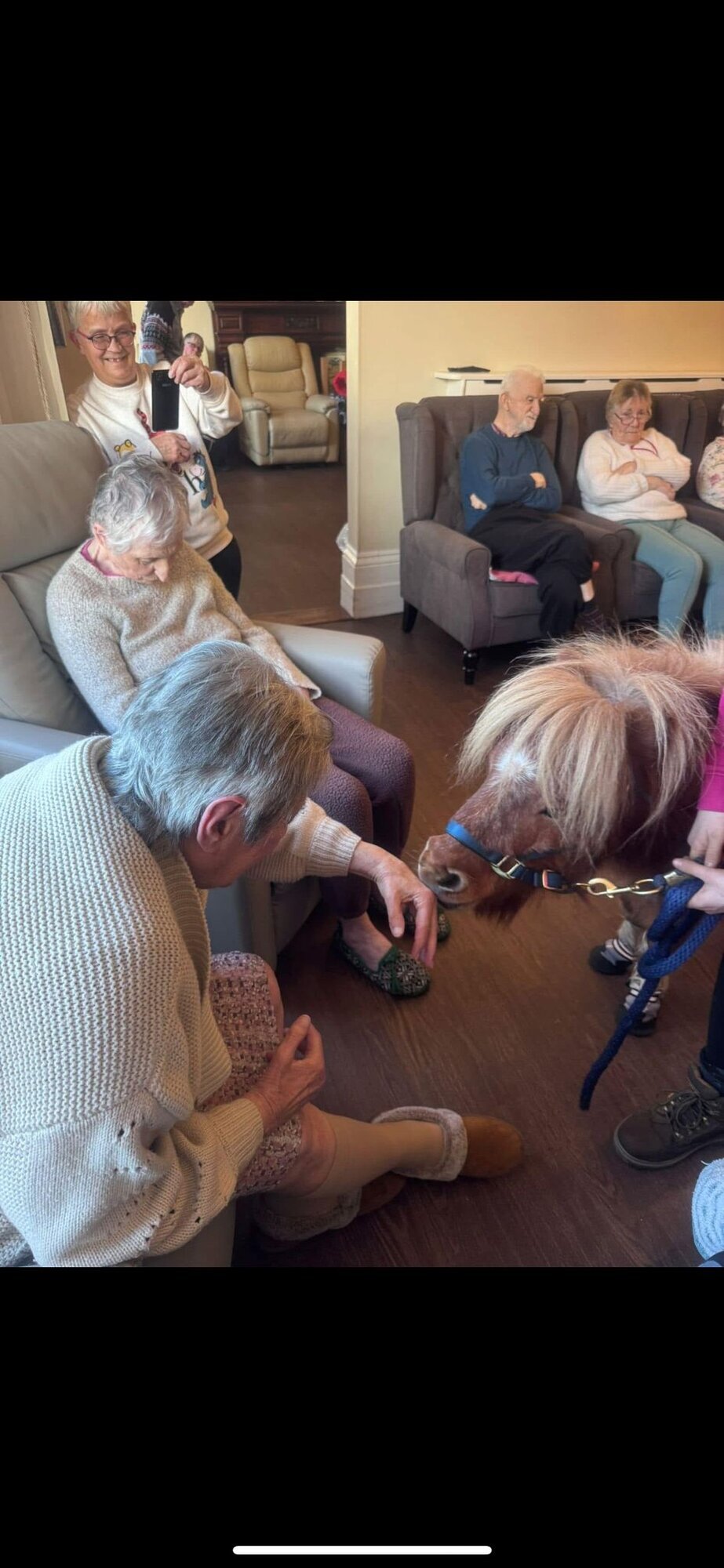 Images Kent Equine Therapy Ponies