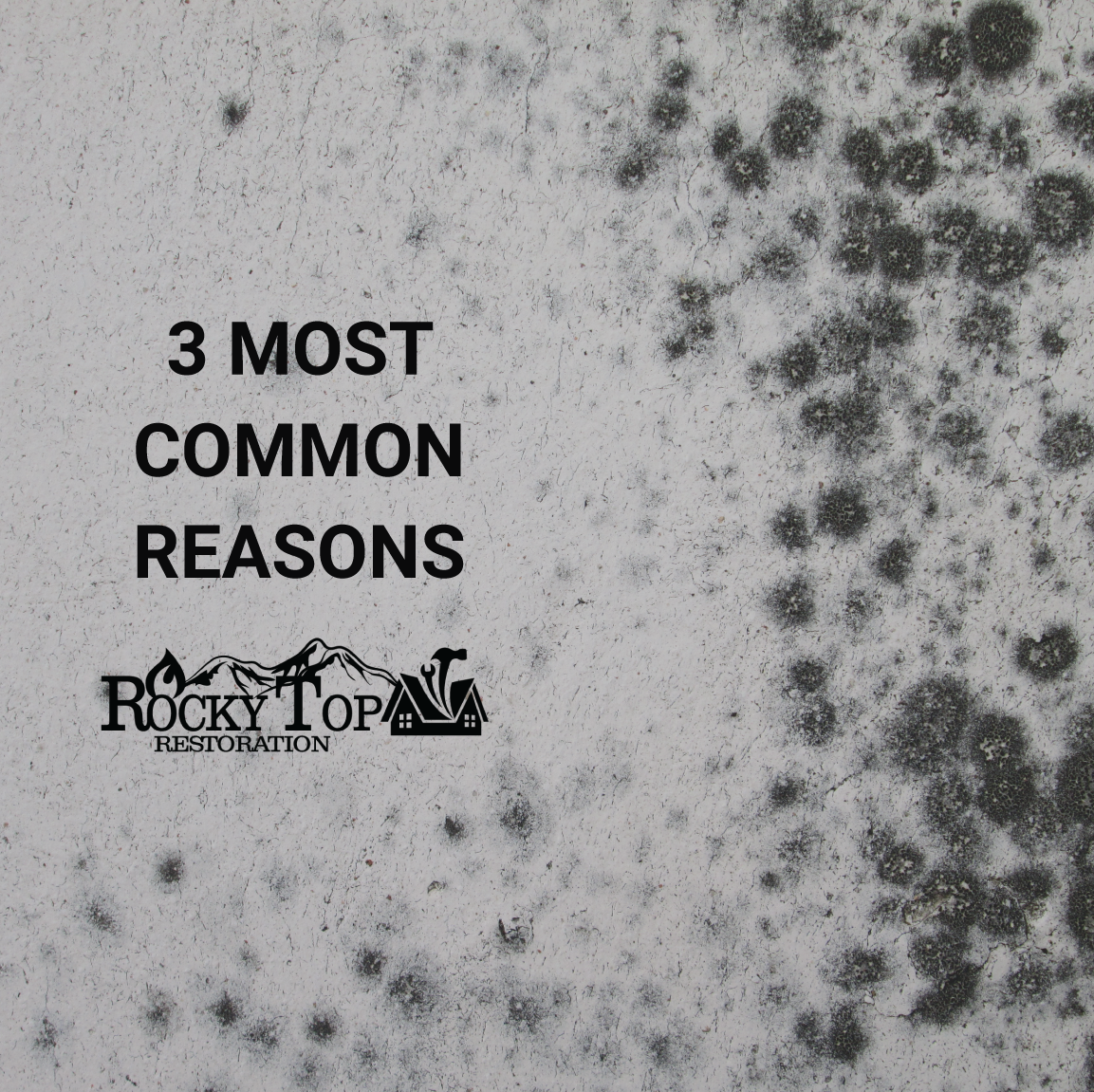 Mold growth can happen for many reasons. 3 of the most common to prepare for? 1. Humidity 2. Power outages 3. HVAC issues