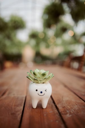 Images Evergrow Dental