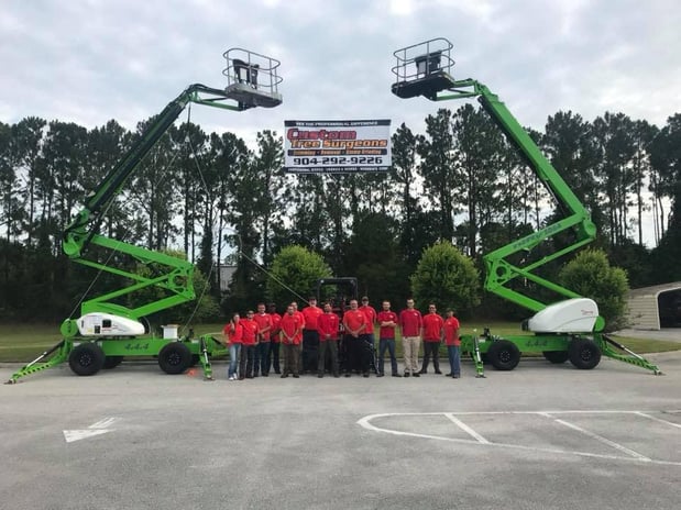 Images Custom Tree Surgeons