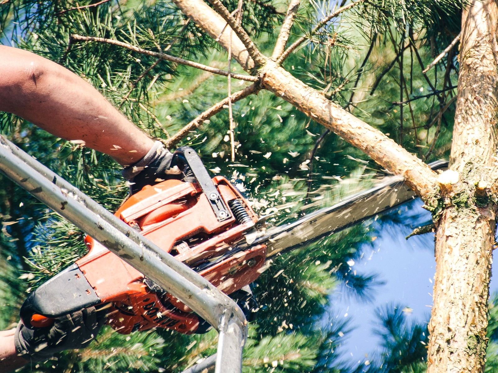 United Tree Services