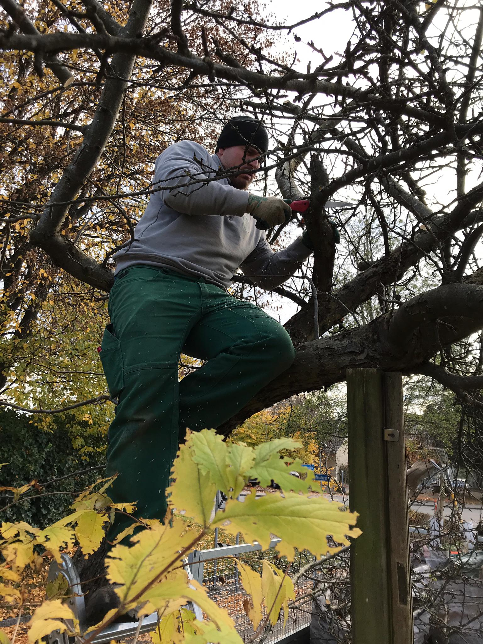 Walder's Hauswartung & Gartenunterhalt AG, Berglistrasse 7 in Wetzikon ZH