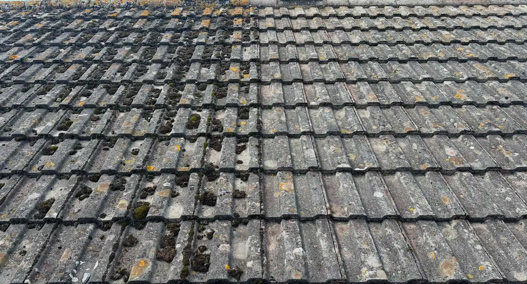 Images Abbott & Son Roofline Ltd