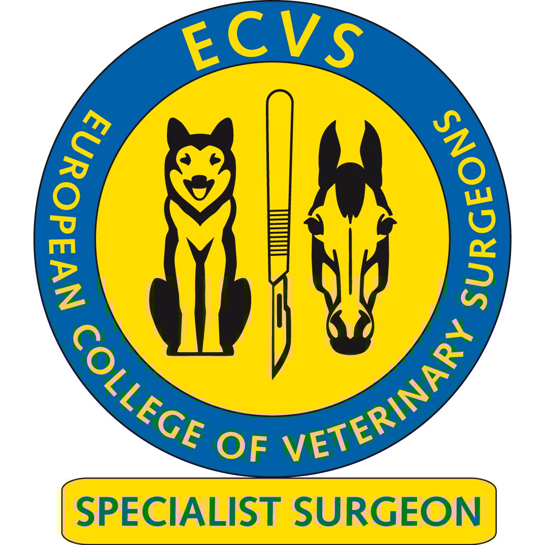 Veterinarios Planet Logo