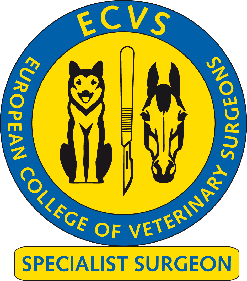 Images Veterinarios Planet