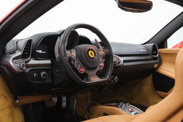 Images Loudoun County Exotics