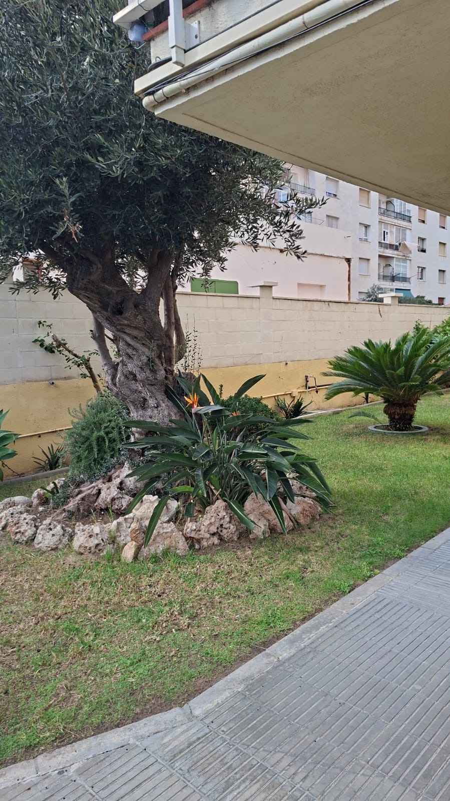 Images Limpiezas Yemil