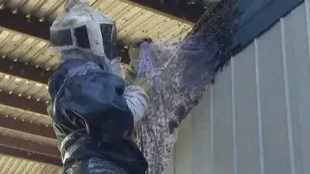 Images Bio-Green Control Ecológico De Plagas